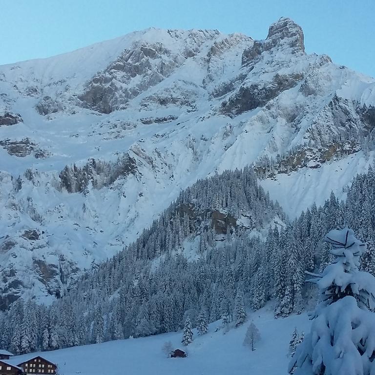 Willa Bunderbach Adelboden Zewnętrze zdjęcie